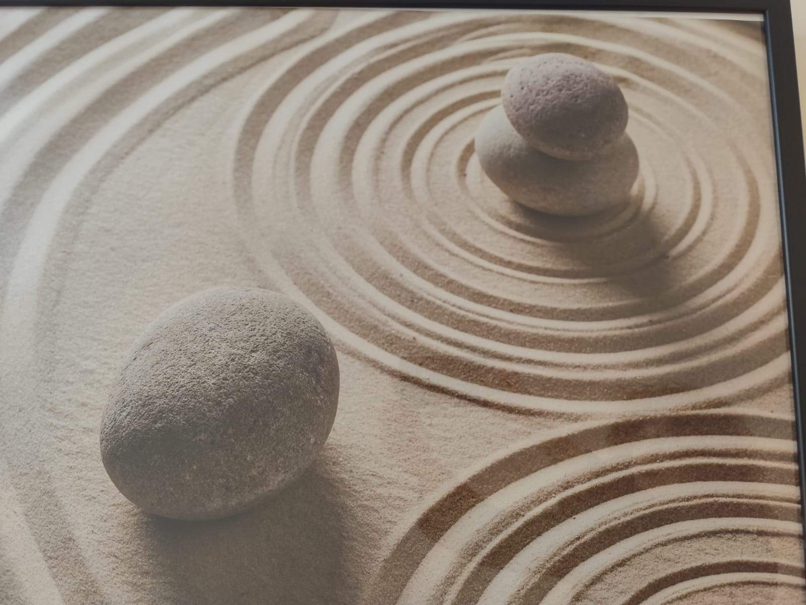 mejor psicologo de embajadores madrid