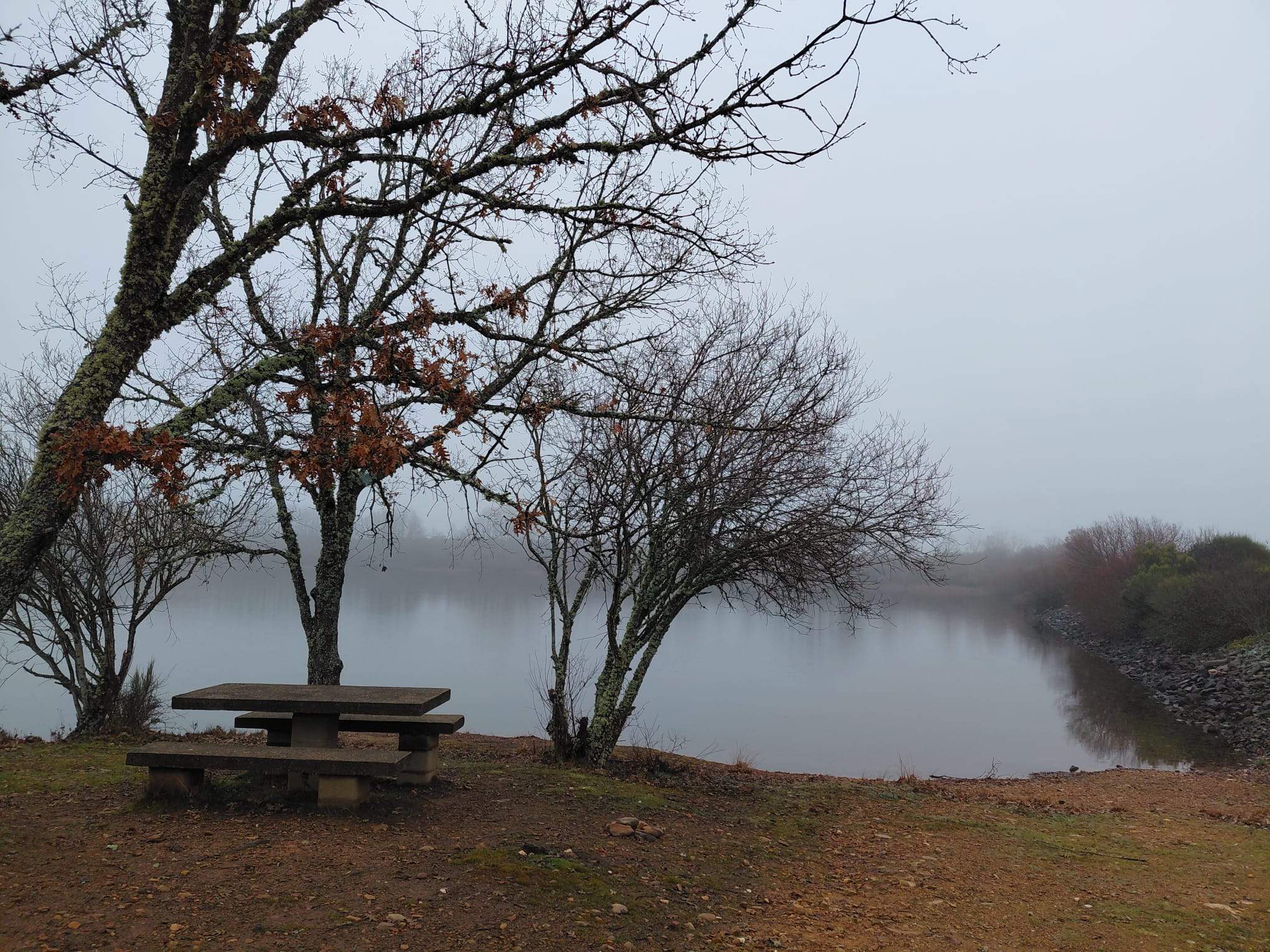 psicologo en embajadores