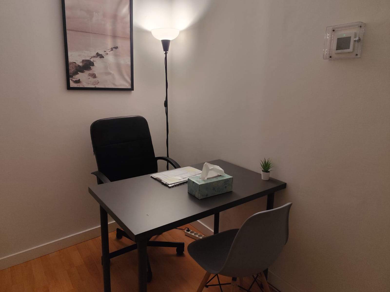 Psicoterapeuta en Embajadores 5 terapias